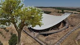 Göbeklitepe'den yükselen dut ağacının sırrı! 12 bin yıllık soruya cevap aranıyor