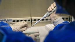 Maymun çiçeği ile ilgili merak edilen sorular! Evcil hayvana bulaşır mı?