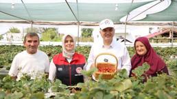 Tamamı topraksız üretiliyor! Tonlarca ürün elde etti