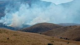 Tunceli'de orman yangını 3 saat sonra söndürüldü