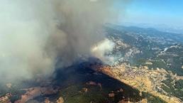 Üç ilde orman yangını: Rüzgarla hızla yayıldı