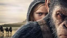 Maymunlar, insanlardan milyonlarca yıl önce öpüşüyormuş