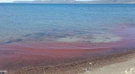 Yer: Çanakkale! Sahil kırmızıya boyandı