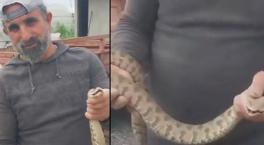 Yer: Hatay! Metrelerce uzunluktaki zehirli engereği eliyle yakaladı