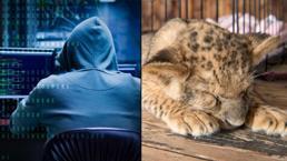 Bilgisayar korsanlarından yeni taktik: Bu altı kelimeye dikkat!