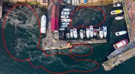 Marmara Denizi'nde yeniden ortaya çıktı! ‘Bu iyi bir şey değil’