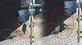 İzmir’de korkunç ölüm! Denize düşüp boğuldu