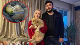 Böyle vicdansızlık görülmedi! Ayaklarını bağladı çöp konteynerine attı! İşte o anlar