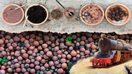 Çöle çeviren de yeşerten de kömür! Siyah toplar devrede: Buharlı trenin yarasını sarıyor