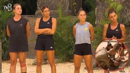 Survivor'da nefes kesen düello! Ödül oyununda yarışmacılar zor anlar yaşadı