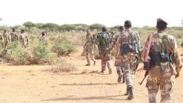 Somali ordusu, Eş-Şebab operasyonlarında 70 örgüt üyesini öldürdü