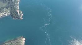 İstanbul’da endişelendiren manzara! Yeniden ortaya çıktı