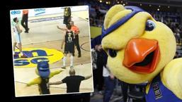 Fenerbahçe maskotu Yellow'u hakem 'sürgüne' gönderdi