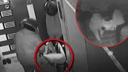 Gaziantep'te görme engelli kadının evi soyulmuştu! Hırsız en yakını çıktı