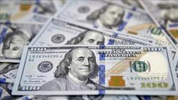 Trump'ın politikaları dolara kan kaybettiriyor