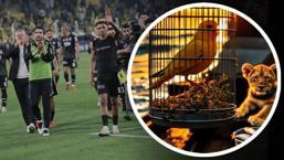 Beşiktaş'tan Fenerbahçe maçı sonrası Survivor ve Jose Mourinho göndermesi!