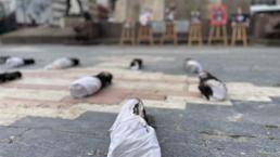 Ankara'da temsili kefene sarılmış bebekli protesto