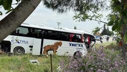 ¡Último minuto! Terrible accidente en çanakkale: 8 muertos, hay muchos heridos