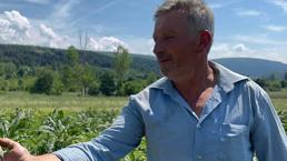 Hasat için tarlaya geldi, gözlerine inanamadı!