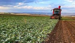 Ministerio anunciado: Se invertirá el pago de apoyo a los agricultores