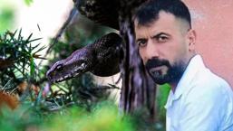 Diyarbakır’da yılan dehşeti! Hayvanları otlatan çoban can verdi