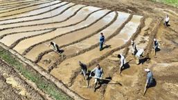 400 yıllık gelenek! Sabah 5’te kalkıyorlar, ne traktör var ne makine: 'Dededen babadan kalma'