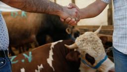 Kredi kartıyla ve banka kredisiyle kurban almak caiz mi? Diyanet cevapladı