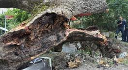 150 -Year -Lool Olded en Beşiktaş: los vehículos se volvieron inutilizables