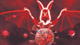 Yeni salgın alarmı! Yine yarasa yine virüs