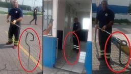 Metrelerce uzunluktaki yılan fabrikaya girdi! Çalışanlar paniğe kapıldı