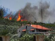 ¡Fuego forestal en Izmir! Se envió un equipo de refuerzo: las llamas se acercan al acuerdo