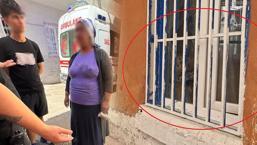 ¡Hizo una pesadilla! Madre se quejó de su hijo