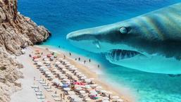 ¿Qué busca tiburones en la costa de Türkiye? Sabemos mal: 'Hay razones provocativas'
