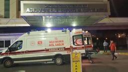 ¡Horror en Diyarbakır! La madre del joven que secuestró a la niña fue asesinada