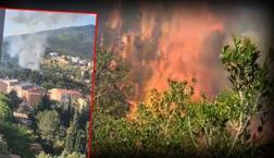 El fuego fue tomado bajo control en el bosque de Aydos