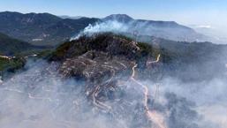 Antalya dehşeti yaşıyor! 14 orman yangınında acı bilanço