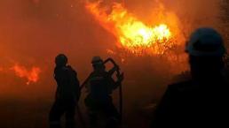 Ciğerlerimiz yanıyor! Birçok ilde orman yangını! Çeşme'den can yakan görüntüler...