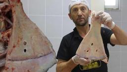 240 kemik arasından sadece ikisini kırıyorlar: 'Büyü yapılmasın diye yok ediyoruz'