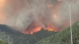 ¡Último minuto! ¡El fuego en Bilecik ha vuelto a crecer! Un pueblo está siendo evacuado