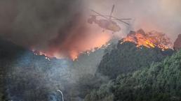 ¡10 mártires en el incendio forestal en Eskişehir!
