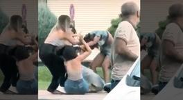 Los eventos de violencia se generalizaron cada vez más entre las niñas: ¡la violencia ahora ha recurrido al espectáculo!