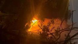 Beykoz'da orman yangını! Yanıcı maddeyi attığı tespit edilen bir kişi gözaltına alındı