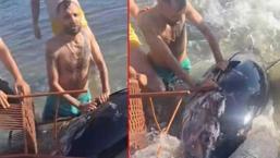 Yer: Çeşme! Kıyıya vurdu, sandalye ile karaya çıkarmaya çalıştılar