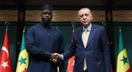 Presidente Erdogan: El relato de cachorros inocentes en Gaza seguramente se le preguntará