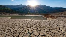 Artan kuraklık tehlikesi! Yetkili isim çok net konuştu: Rakamlar korkunç, beni ürkütüyor