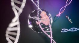 ABD'de zenginler 'süper bebek' yarışında: Doğmadan çocuklarının zekasını belirliyorlar!