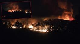 Mersin'deki orman yangını 3'üncü gününde! Vali Toros son durumu açıkladı