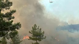 Muğla'da orman yangını kontrol altında