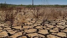 Barajlarda su yüzde 5’in altına düştü! İzmir için alarm: 'Sağlık açısından zararlı olabilir'