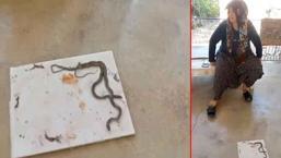 Evini irili ufaklı yılanlar bastı! ‘Kendi evimde huzurum kalmadı’